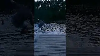 когда решил постирать сразу весь шмот 🤣