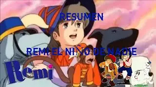 remi el ni&ntilde;o de nadie resumen