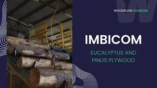 Exploring Imbicom: Eucalyptus and Pinus Plywood Manufacturing and Export