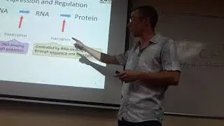 Deep learning for protein RNA interactions - 1, Yaron Orenstein
