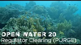 Regulator clearing (purge method)