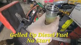 Gelled Diesel Fuel No Start