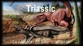 The Evolution of Life part 8 : Triassic