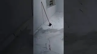 DON'T PAINT A WALL WITHOUT WATCHING THIS VIDEO FIRST