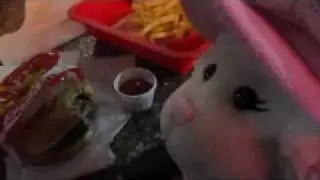 Lamb Cam #52: Lambie Goes to In-n-Out Burger - LambCam