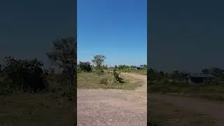 Asian agriculture