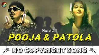 Pooja &patola - Namari Gill | NoCopyrightSongs | punjabi no copyright song | New remix Song
