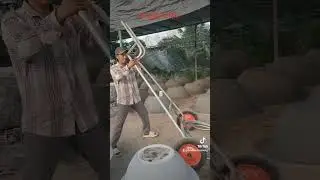 xe gấp chậu kiểng
