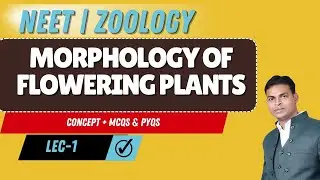 NEET I BOTANY I MORPHOLOGY OF FLOWERING PLANTS | CONCEPT AND PYQs | LECTURE-01