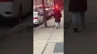 Ten-Car Collision Along Bushwick Avenue | Citizen