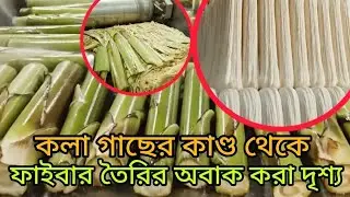 কলাগাছ থেকে কীভাবে তৈরি হয় প্রাকৃতিক ফাইবার😳 #BananaTrees #NaturalFiber #GreenIndustry #reels 