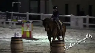 Antonio Hern&aacute;ndez Santana & Airoso P  Manejabilidad