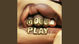 MOOG PLAY
