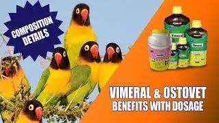 Vimeral and Ostovet Supplement for Birds | Dosage and Mixing Ratio | Increase Egg Production
