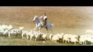 C'era una volta - galoppo di Omar Sharif