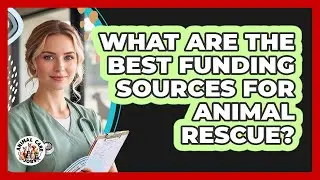 What Are The Best Funding Sources For Animal Rescue? - Animal Care Jobs
