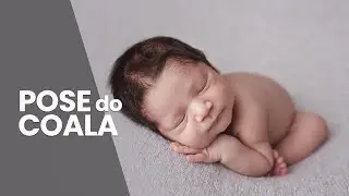 COMO FAZER A POSE DO COALA | Fotografia Newborn