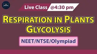 Respiration | Respiration in Plants | Glycolysis | NEET | NTSE | Olympiad | Ved Science