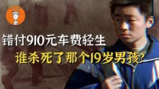 19岁少年多付910元打车费选择轻生，网约车司机王某为什么这么坏，中国才是零元购之国！|19歲少年多付910元打車費選擇輕生，網約車司機王某爲什麼這麼壞，中國才是零元購之國！