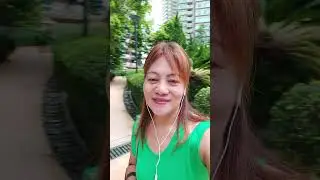 Mawan mini garden