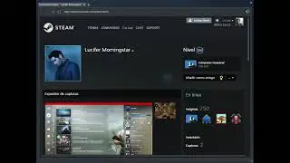 Steam account level 150 with obviously cheat
