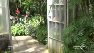 Tropische V&ouml;gel - Wilhelma - Stuttgart