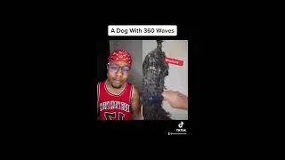 A Dog With 360 Waves #shorts