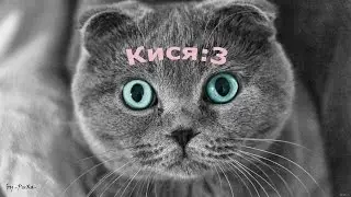 Киса:3