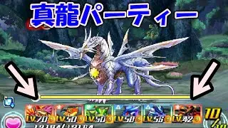カメの親が登場してきた！#21【3DSパズドラZ】