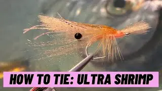 Fly Tying Tutorial - Ultra Shrimp