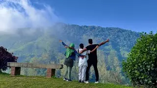 Boh tea garden view point Cameron Highland 