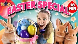 Hop&nbsp;Like a&nbsp;Bunny&nbsp;EASTER&nbsp;SPECIAL!