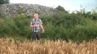 Cairns at Garryroan Ballylooby Cahir