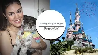 Traveling with your dog to Disney World | tips and essentials to take along