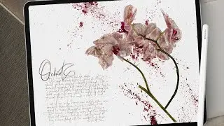 Orchid Botanical Illustration with the Procreate Realistic Watercolour Brushes