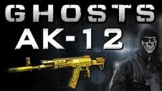 AK-12 GOLD Gameplay