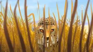 FWU - Evolution und Optimierung - Trailer