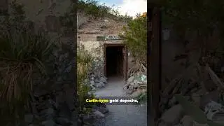 Lode Gold Episode 13: Carlin-Type Gold Deposits - From Veins to Orebodies