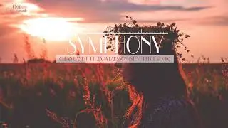 (Steve Reece Remix) - Symphony - Clean Bandit  ft. Zara Larsson  [Lyrics+Vietsub]
