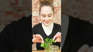 Astuce pour faire germer vos l&eacute;gumes