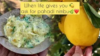 Pahadi nimbu🍋 with Bhaang🌿|| Pahadi special recipe || Uttarakhand❤️,Pithoragarh🪵|| organic farming🌾