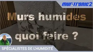 Votre solution pour les murs humides (: Desperate Housewife Edition)