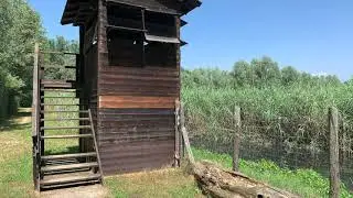 Oasi della Bruschera