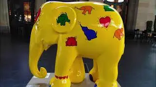 The Elephant of Surprise
