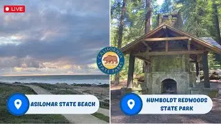 Celebrate Women's HERstory at Humboldt Redwoods State Park and Asilomar State Beach!