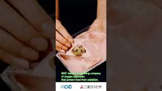 &rdquo;The History of MGC&rdquo; Oxygen absorber edition (English)