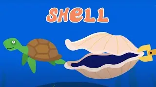 SHELL 🐚 Nursery Songs 🐢 For Kids Meow Meow Kitty Song 😸