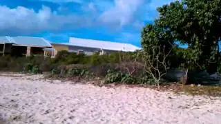 K.c. playing fetch @ Chocolate Hole, St John