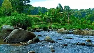 RELAXING SOUNDS FOR SLEEPING | TRANQUIL RIVER AND FOREST SCENE FOR MEDITATION & RELAXATION #99