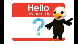 Where's Goldie?